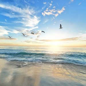 Spirituelles Erwachen Spirituelle Gemeinschaft der neuen Zeit gelebte und moderne Spiritualität Sonnenaufgang über dem Meer